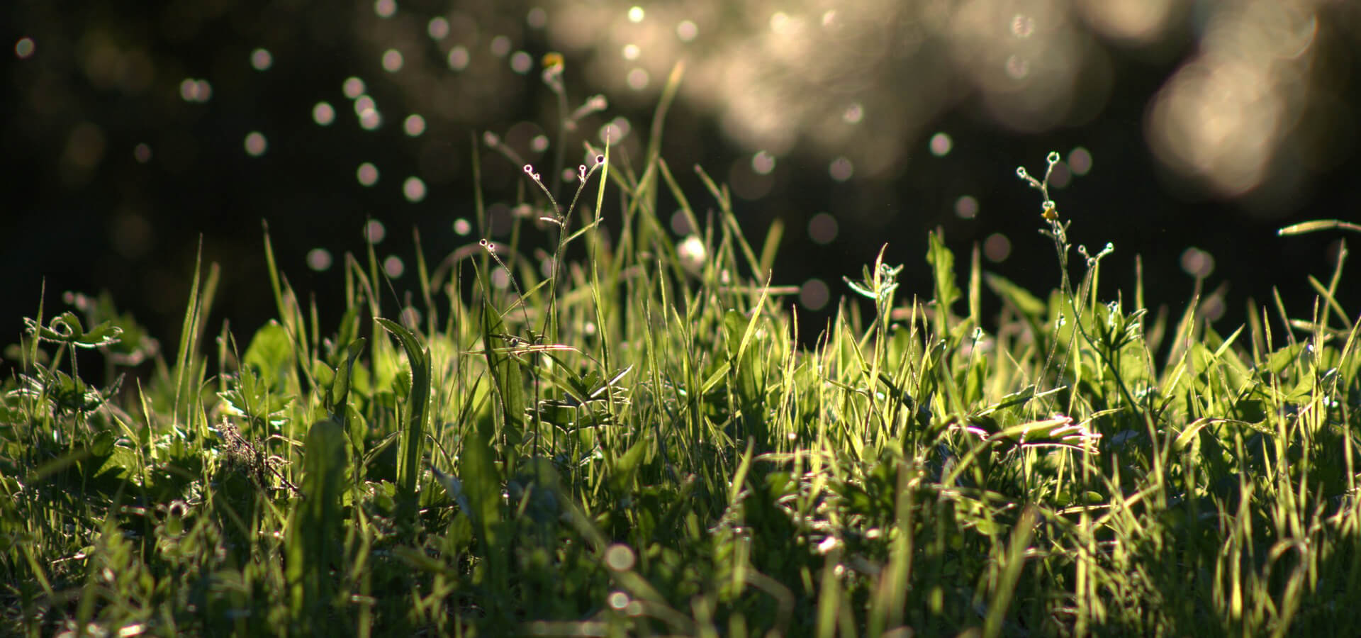 #slidecaption1 Gesund in jedem Alter